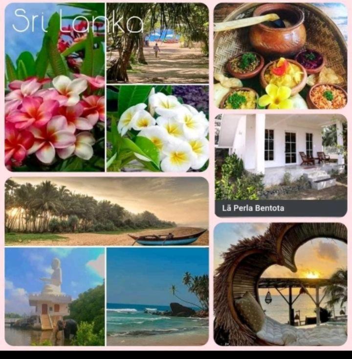 La Perla Bentota Hotel Luaran gambar