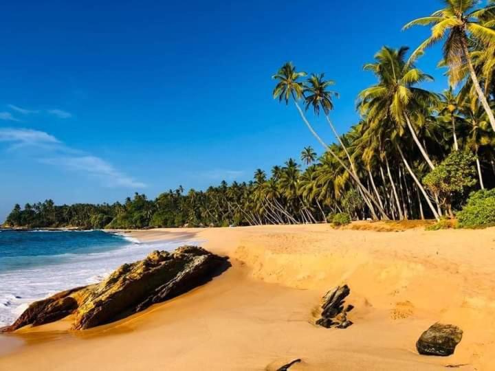 La Perla Bentota Hotel Luaran gambar