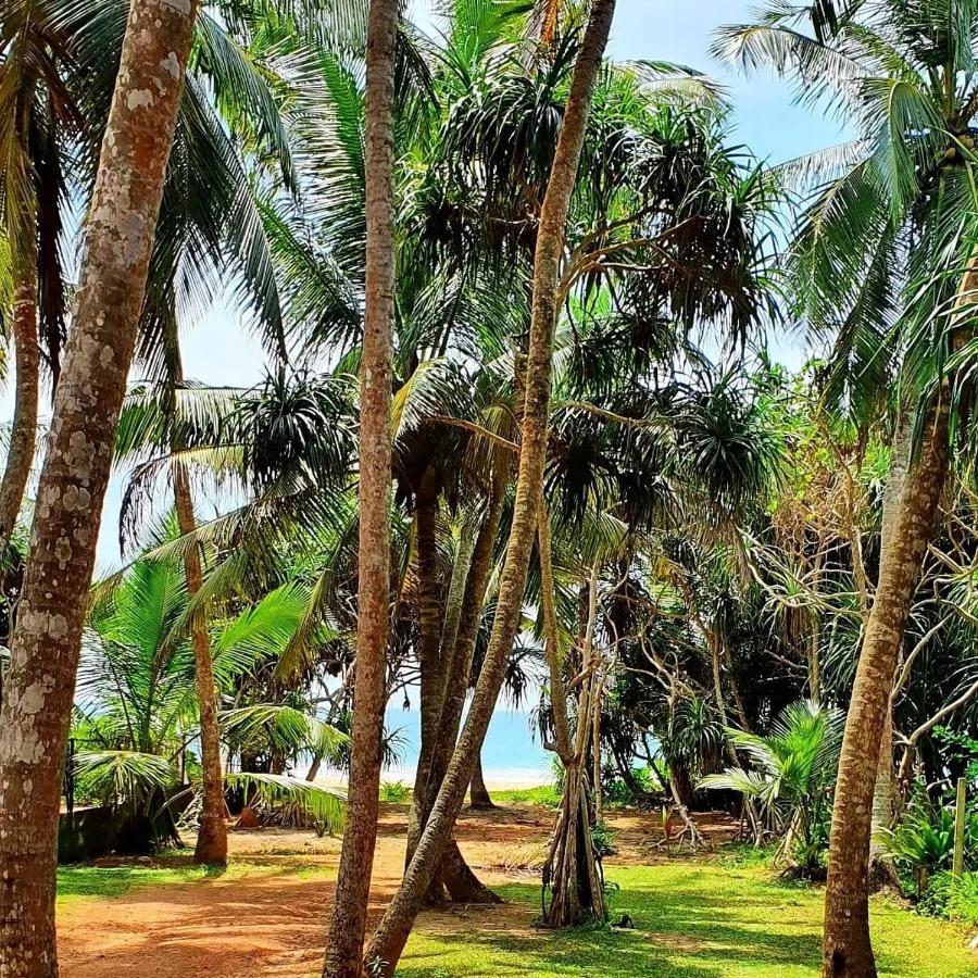La Perla Bentota Hotel Luaran gambar