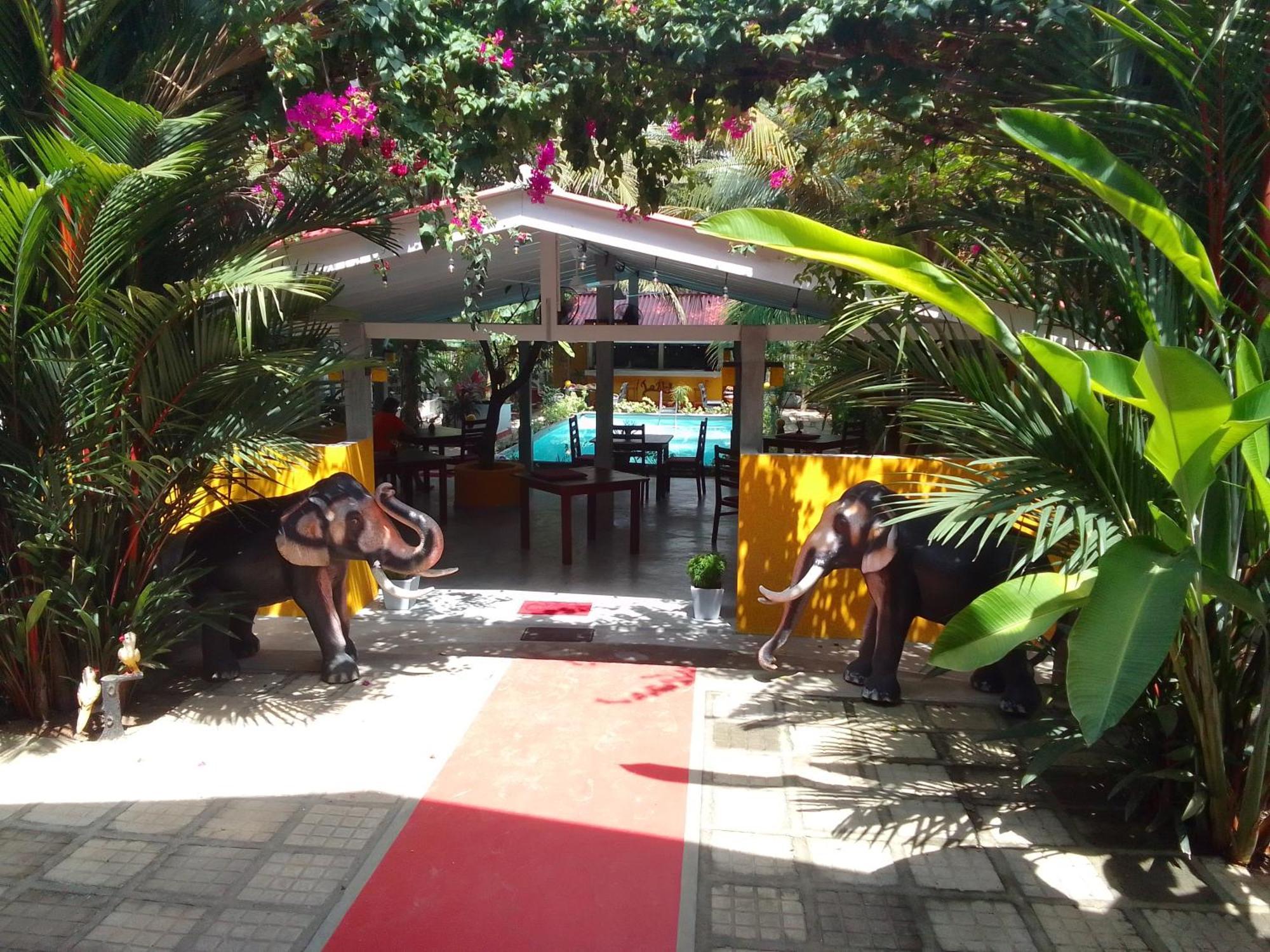 La Perla Bentota Hotel Luaran gambar